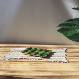 Ręcznie wykonana ceramiczna zielona tacka z wgłębieniami do serwowania jajek