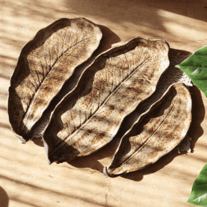 Ceramiczny talerz / patera- Liść beżowy