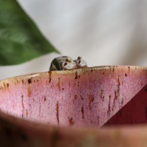 Kubek ceramiczny - Serce z ptaszkami 300 ml